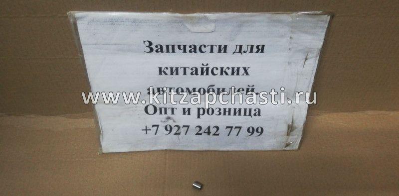 РОЛИК СИНХРОНИЗАТОРА 4-5 ПЕРЕДАЧИ BAW Fenix 1065 Евро 3 LG528-1701307